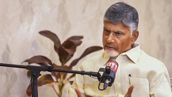 <div class="paragraphs"><p>Andhra Pradesh Chief Minister N. Chandrababu Naidu</p></div>