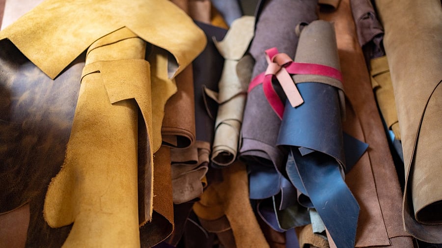 <div class="paragraphs"><p>Samples of leather in different colors. (Representative image)</p></div>