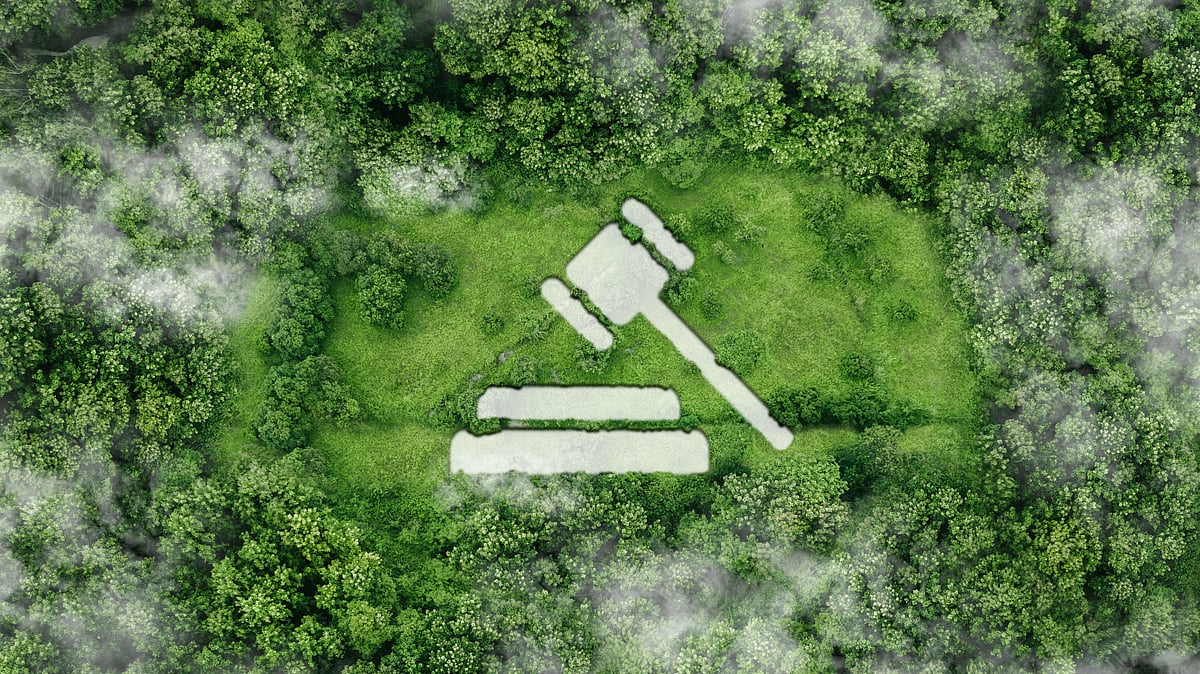 Balancing Economic Growth with Environmental Priorities: Judicial Interventions
