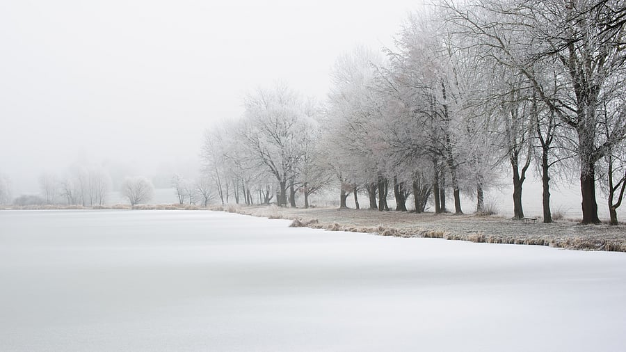 <div class="paragraphs"><p>Image of a frozen lake for representational purposes.</p></div>