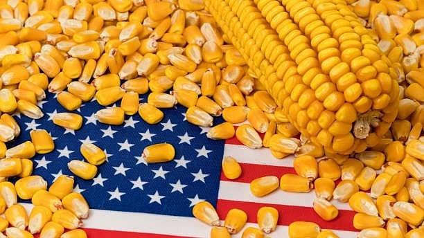 <div class="paragraphs"><p>Deal with India will export more American farm products.</p></div>