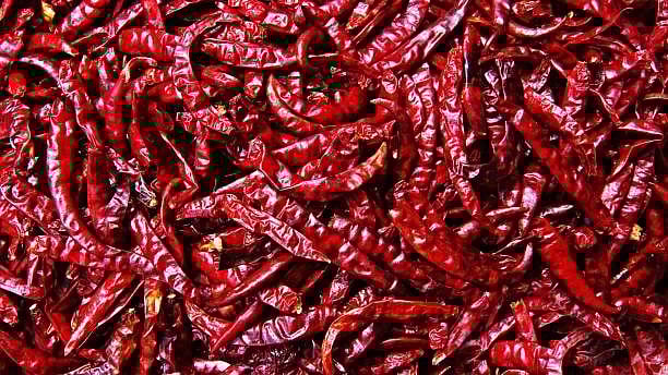 <div class="paragraphs"><p>Representative image of dry red chilli.</p></div>