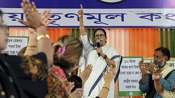 <div class="paragraphs"><p>West Bengal CM Mamata Banerjee.</p></div>