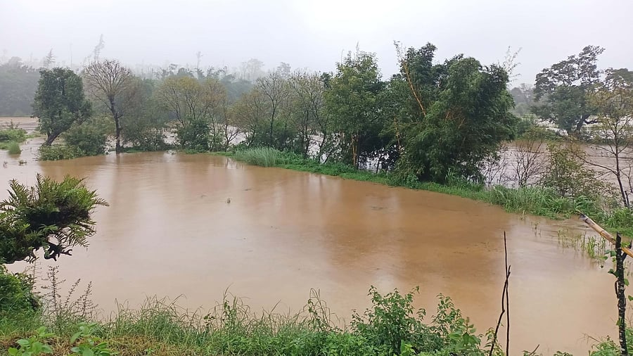 <div class="paragraphs"><p>A tributary of River Hemavathi overflowing near Hulagathuru village, Yesalur hobli, Sakleshpur taluk, Hassan district. </p></div>