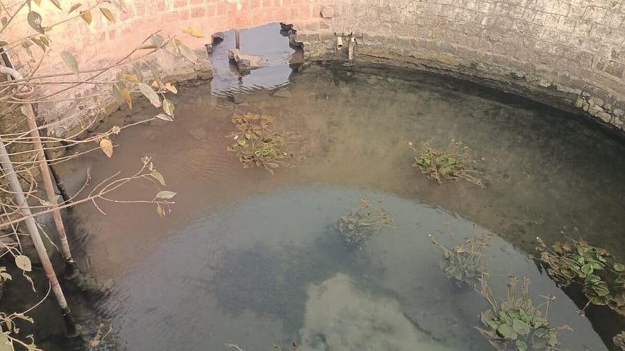 <div class="paragraphs"><p>The natural water spring at Vajjala in Yadgir district</p><p></p></div>