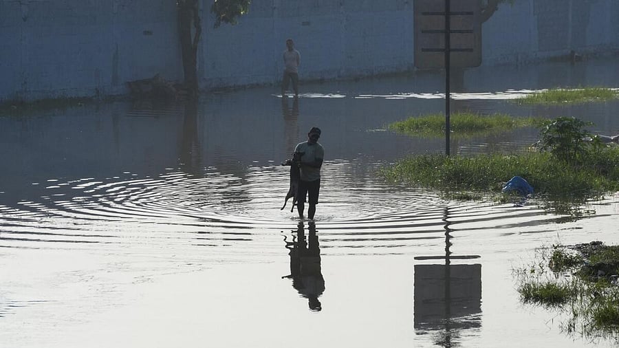 <div class="paragraphs"><p>A man carrying a dog walks along a flooded street, following Cyclone Ditwah in Peliyagoda, Sri Lanka, December 1, 2025.</p></div>