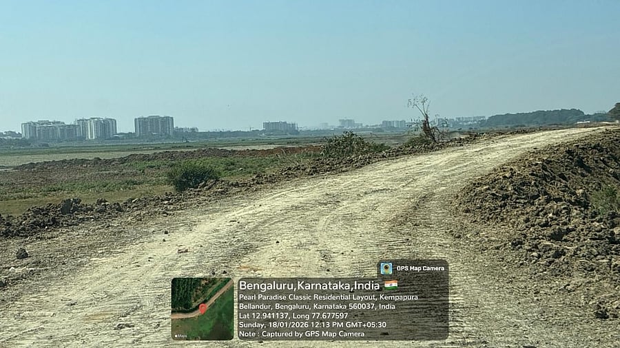 The widened mud road at Bellandur lake.