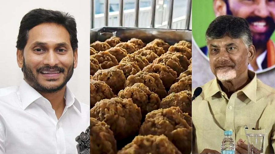 <div class="paragraphs"><p>'Ghee made of bathroom-cleaning chemicals used in Tirupati laddus': Andhra CM lashes out at YSRCP govt</p></div>