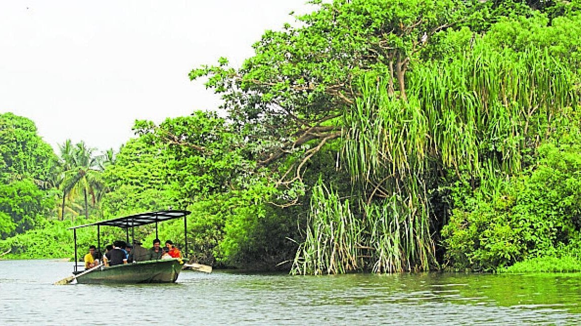 National Wildlife Board Approves Highway Through Ranganthittu Eco-Sensitive Zone