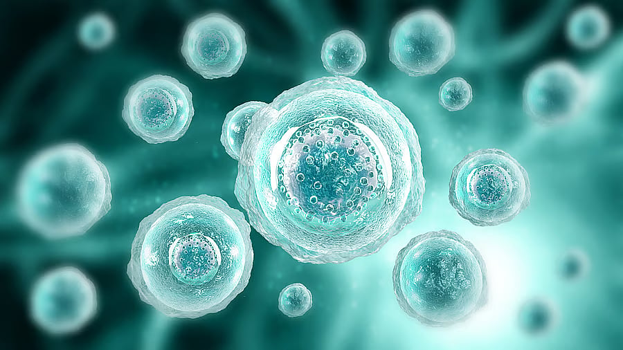 CCMB Scientists Discover Key Metabolic Switch in Fungi Causing Invasive Infections