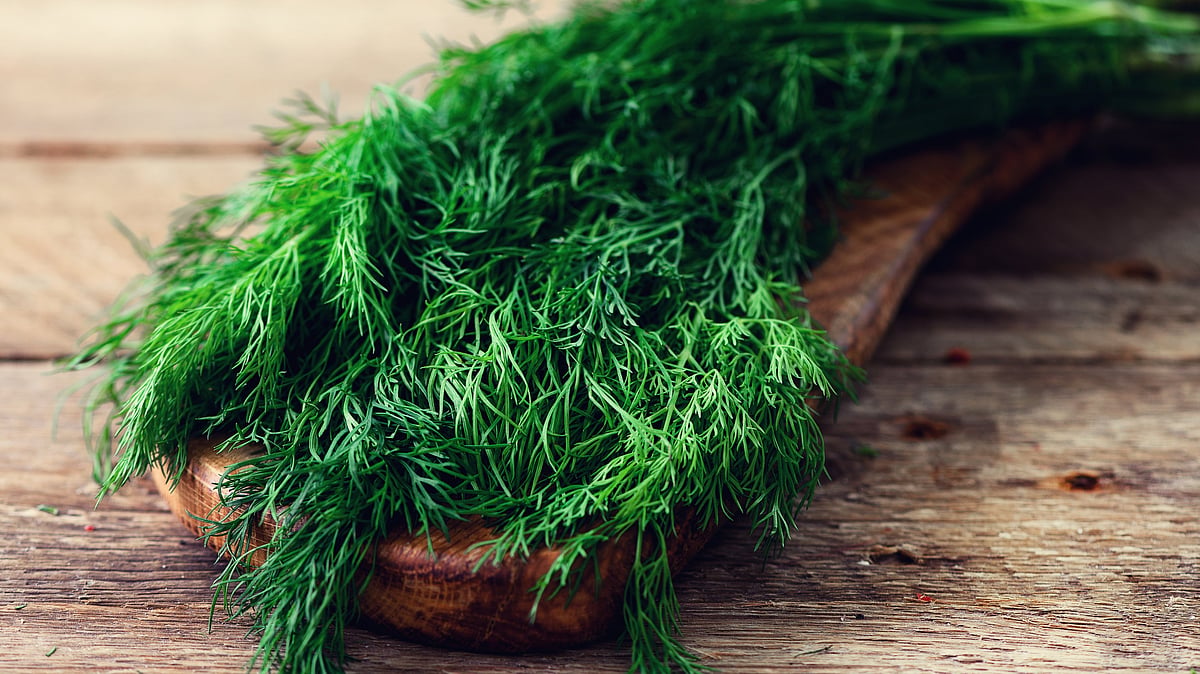 The Local Food Movement: Why Eating Seasonally Matters for Health and Environment