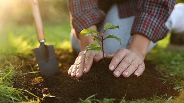 International Arboricology Conference in Mumbai Focuses on Urban Greenery