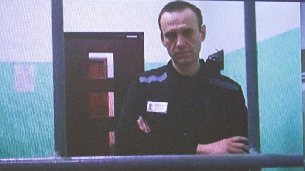 European Governments Claim Navalny Poisoned with Frog Toxin, Russia Denies