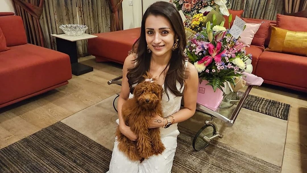 Trisha Krishnan Condemns Tamil Nadu BJP Chief's Remarks, Reaffirms Political Neutrality