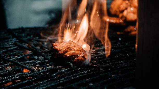 Four Booked for Poaching and Burning Endangered Black Turtles in Karnataka Ritual