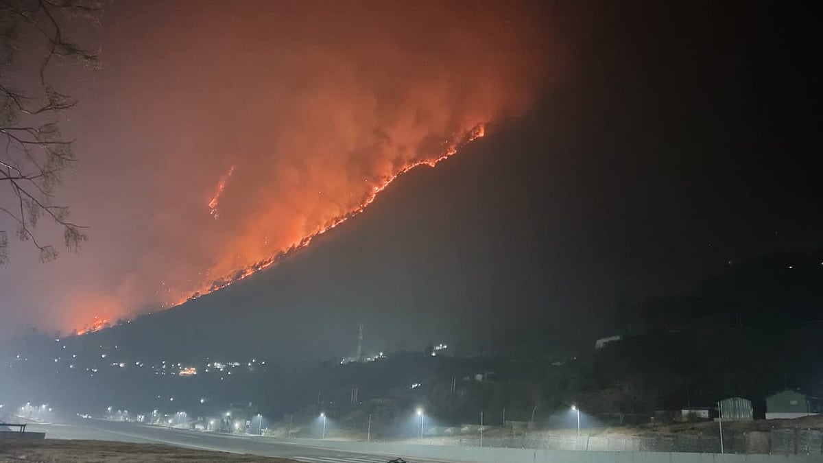 Indian Army and Air Force Battle Massive Forest Fire in Arunachal Pradesh's Walong