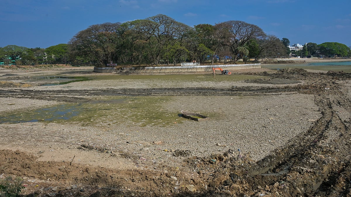 Bengaluru's Historic Lakes Face Severe Water Quality Crisis, Data Reveals