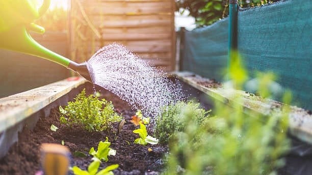 Mumbai Airport Flyover to Host Community Urban Farm Initiative