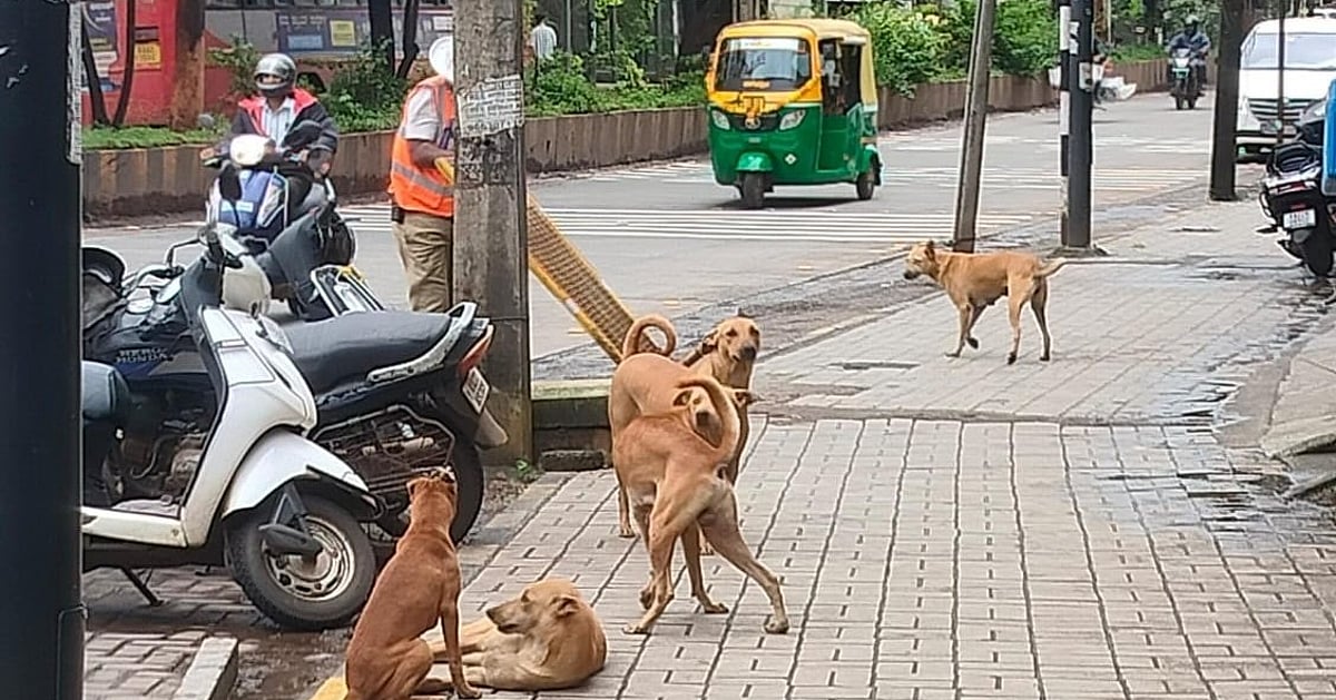 Karnataka launches state action plans for rabies elimination and ...