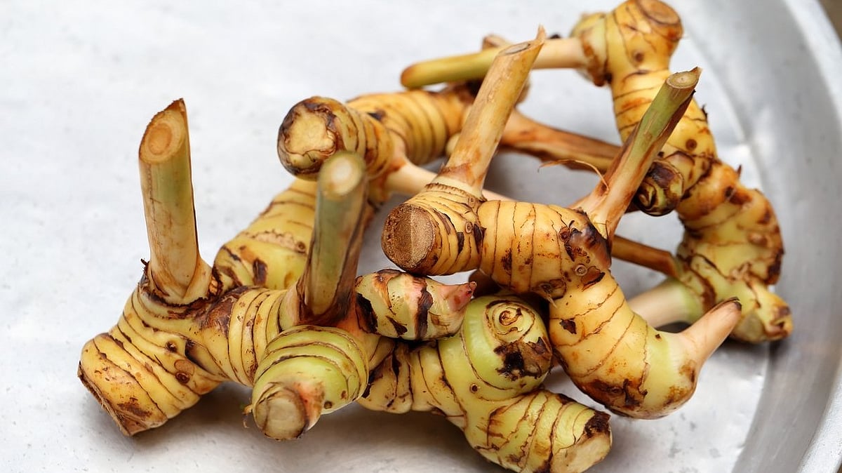 Galangal: The Essential Aromatic Root Defining Thai Cuisine's Signature Flavors