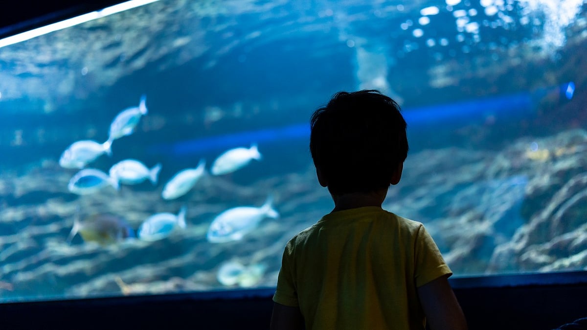 Mumbai's Byculla Zoo to Unveil Major Aquarium and Bird Aviary by December 2026
