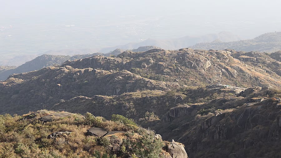 Aravalli Mountains Face Severe Soil Erosion Crisis Despite Reforestation Efforts