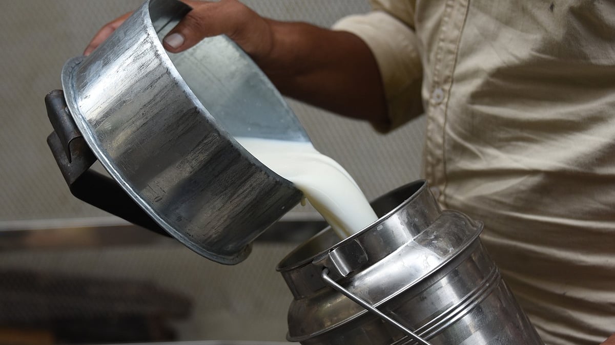 Andhra Pradesh Milk Contamination Crisis: Death Toll Climbs to 13, Seven Hospitalized