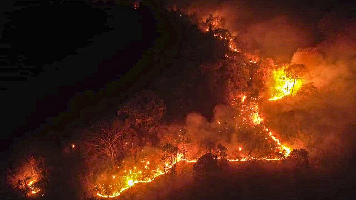 IAF Helicopters Battle Arunachal Forest Fire, Drop 1.62 Lakh Litres of Water