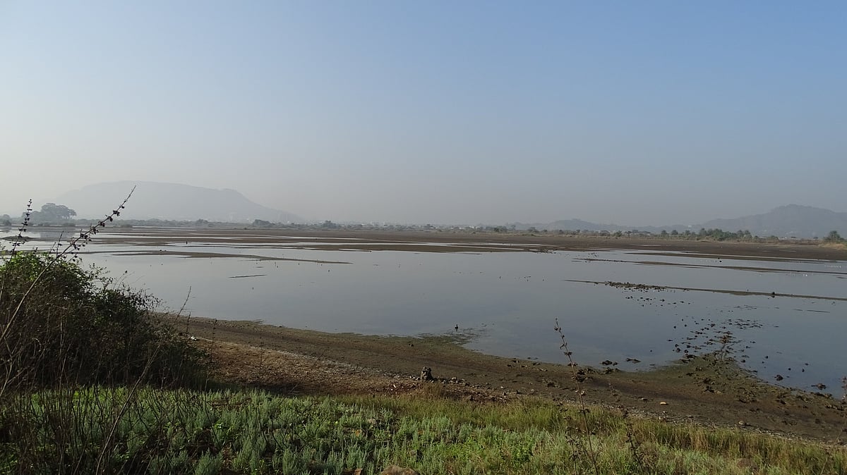 Centre Directs Maharashtra to Notify 23,000 Wetlands on Priority Basis