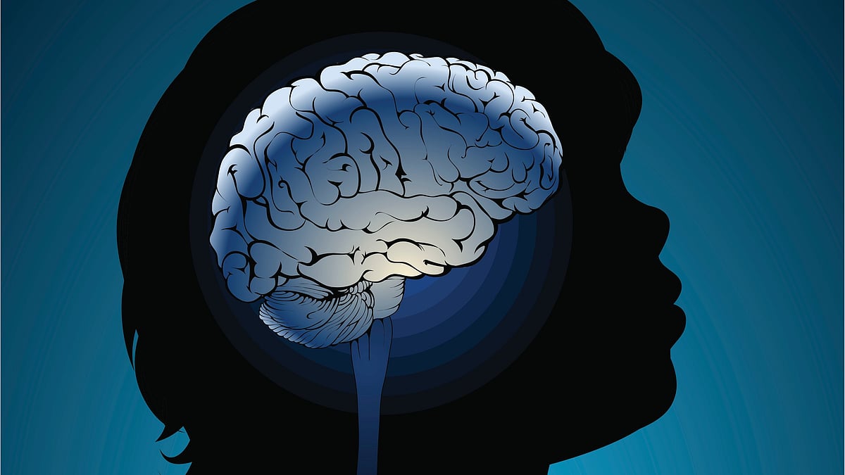 The Human Brain: Nature's Ultimate Supercomputer Within Us