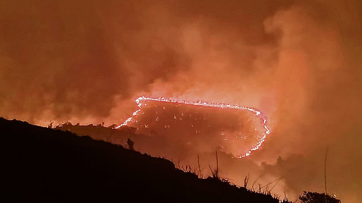 Karnataka Orders Probe Into 25 Forest Fires in Kudremukh Within 24 Hours