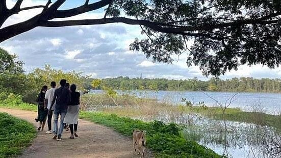 Greens Challenge Commercial Complex in Mysuru's Kukkarahalli Lake Buffer Zone