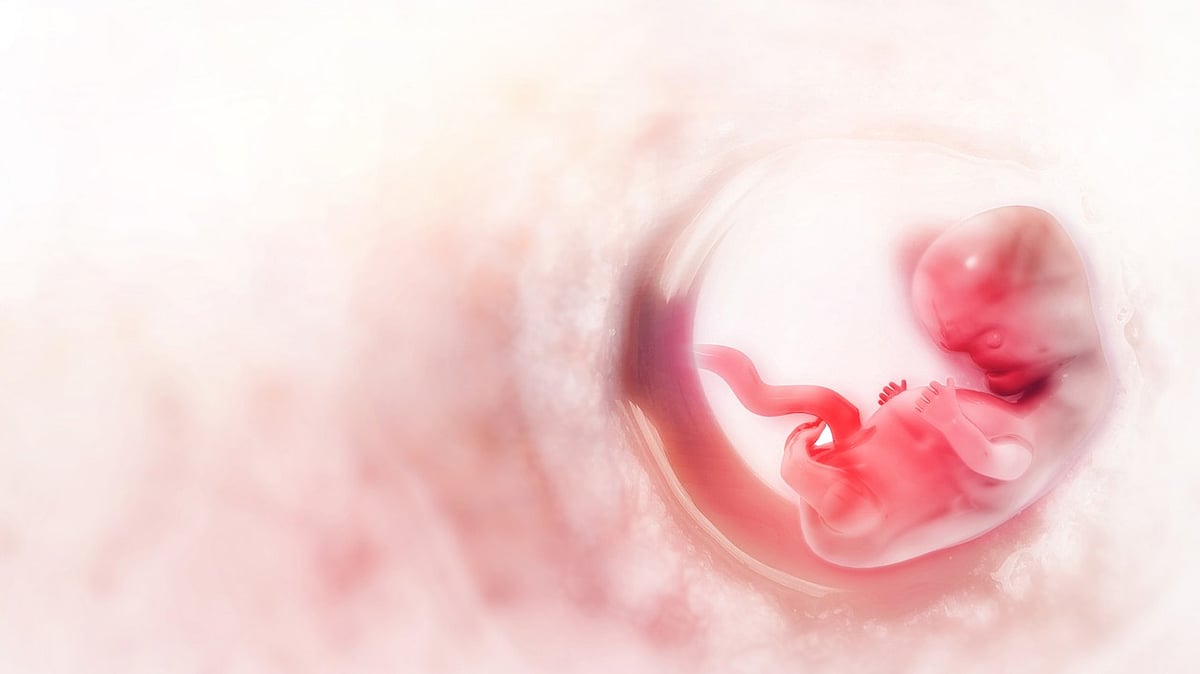 Human Eggs Exhibit Microscopic 'Mate Choice' by Selecting Sperm, Scientists Discover