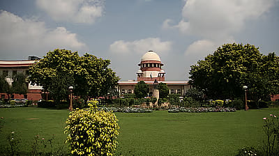 Supreme Court Demands Response on Plea for National Guidelines Against Cattle on Highways