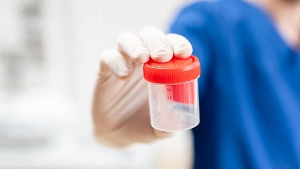 Space Microgravity Impairs Human Sperm Navigation, New Study Reveals