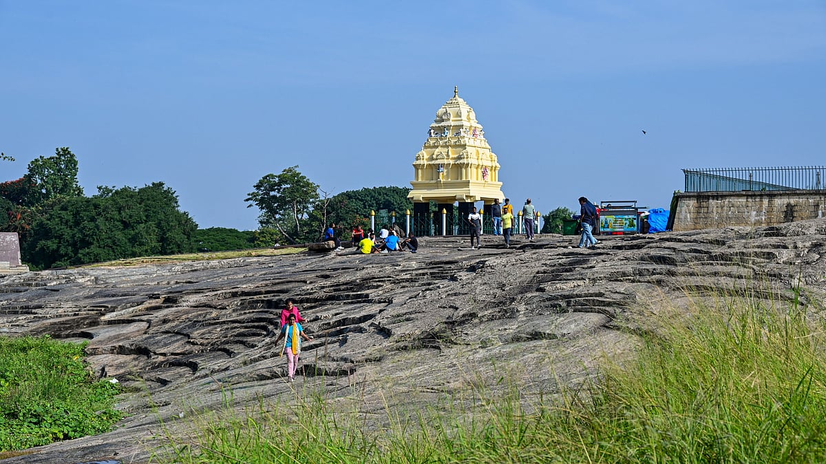 GSI Forms Expert Panel to Assess Tunnel Impact on Bengaluru's Lalbagh Garden