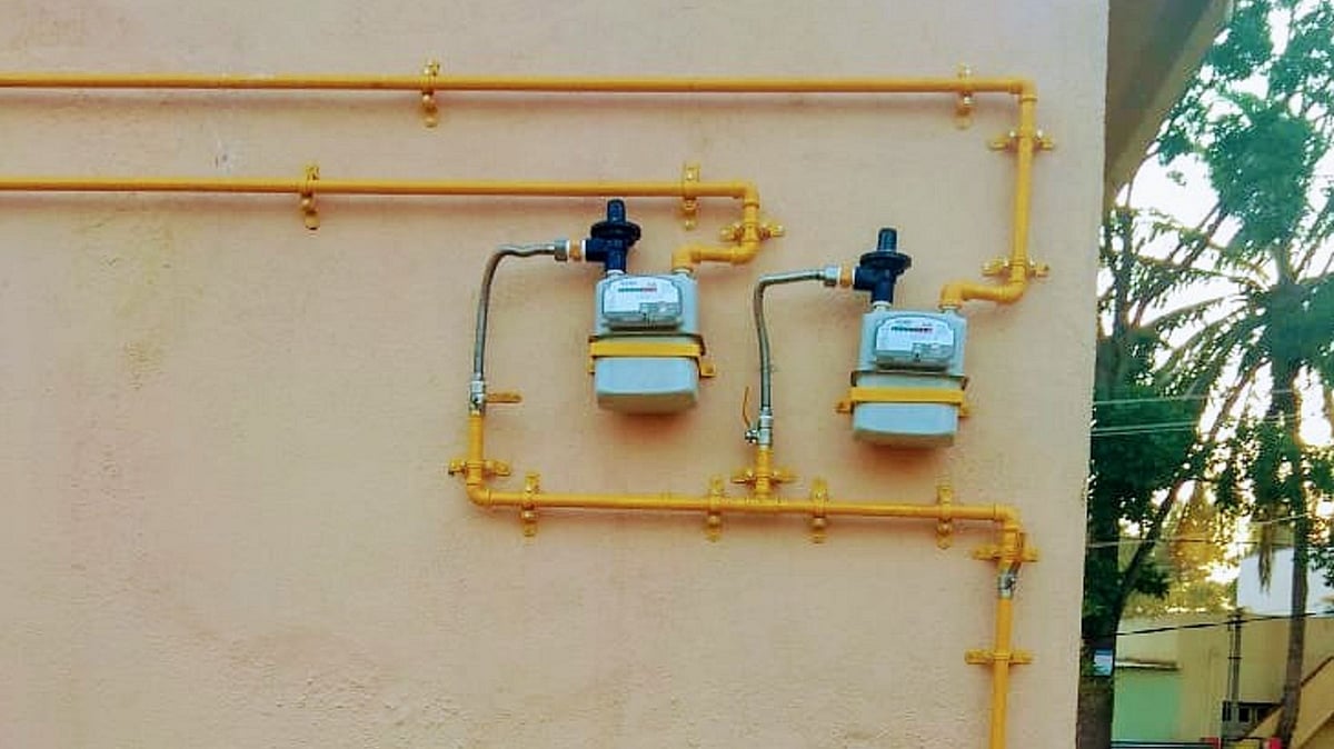 Over 4 lakh PNG connection provides since March : Govt