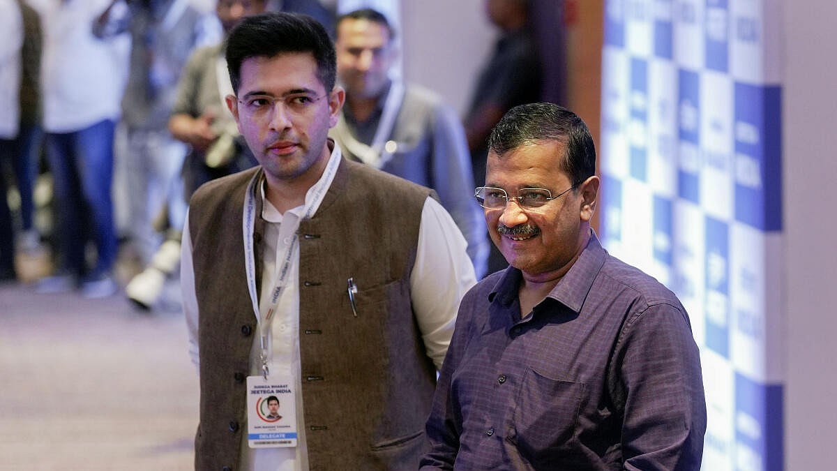 AAP's Saurabh Bharadwaj Mocks Raghav Chadha's 'Not Defeated' Video in Parliament Spat