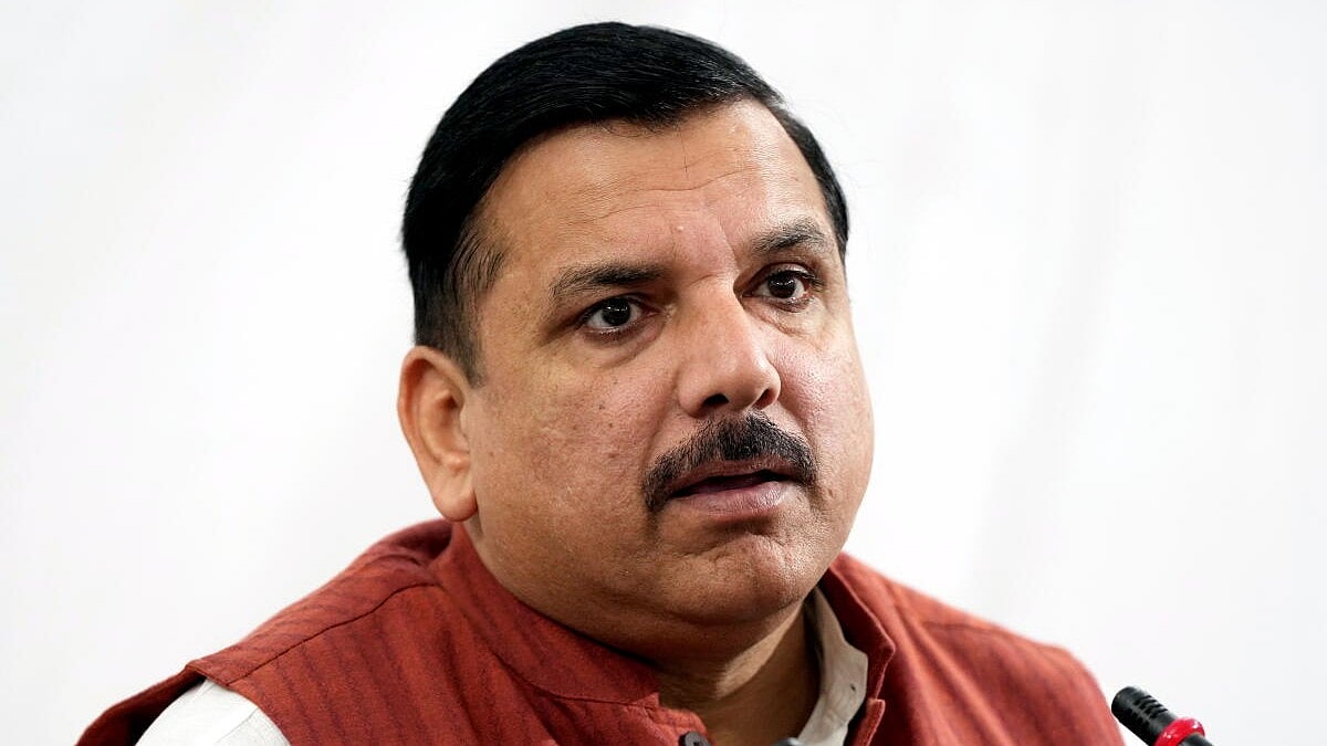 AAP's Hathras March: Sanjay Singh Criticizes Centre on Jobs, Unity
