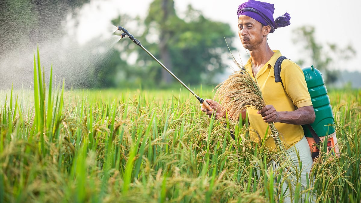 Insecticide Rules: New Draft May Weaken Oversight