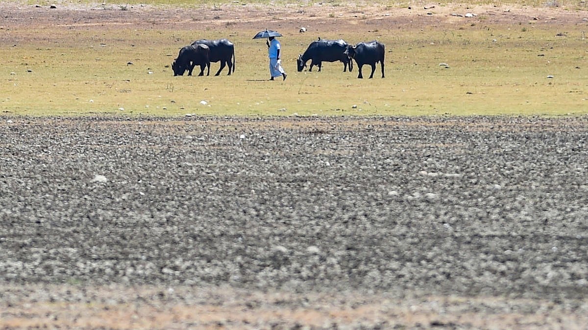 Climate Risks Cast Shadow Over Upcoming April Assembly Elections in India