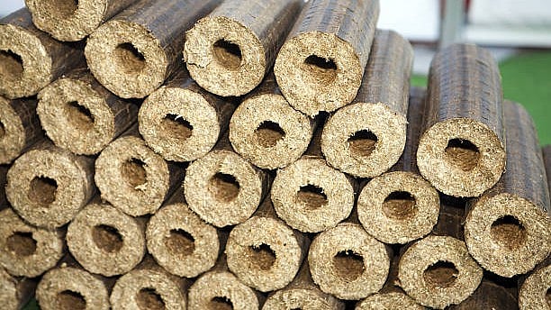 Export Ban: Centre Curbs Wood Briquettes Export