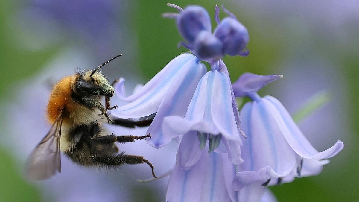 News in Pics | April 10, 2026: Best photos from around the world