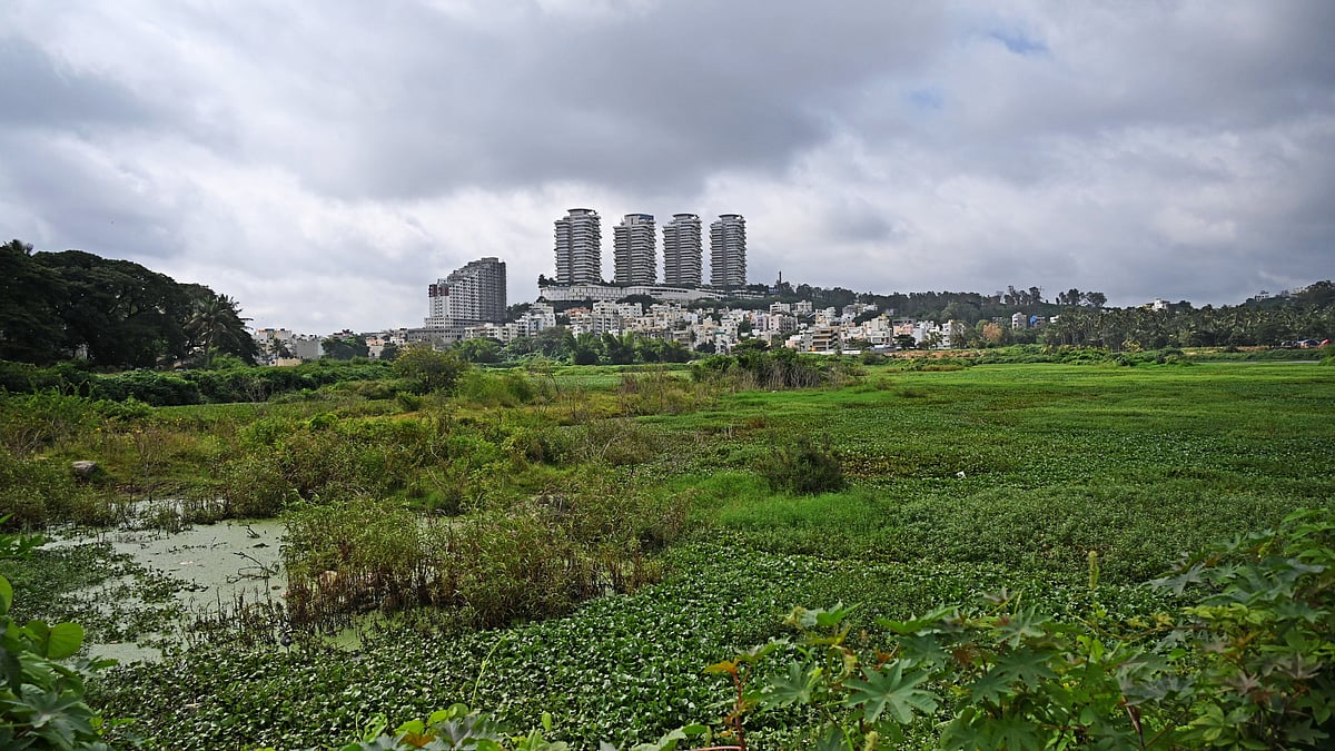 Bangalore Rural MP C N Manjunath Calls for Hosakerehalli Lake Restoration