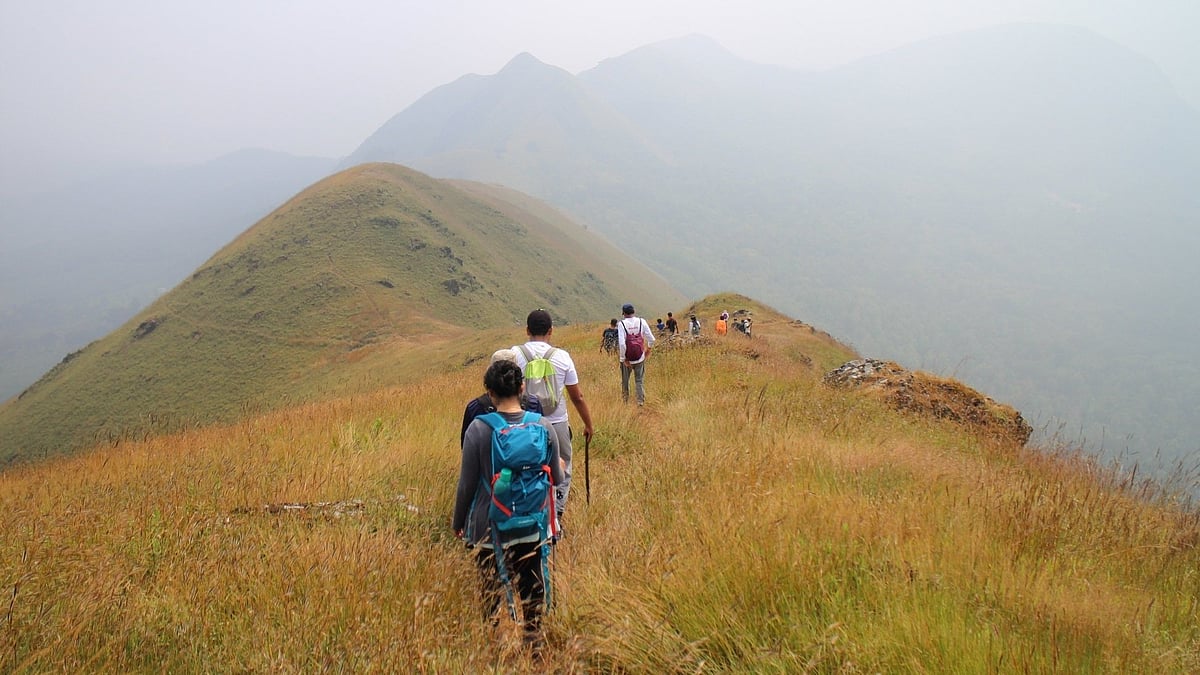 Karnataka Halts Trekking Bookings Indefinitely Amid Fire Season Risks