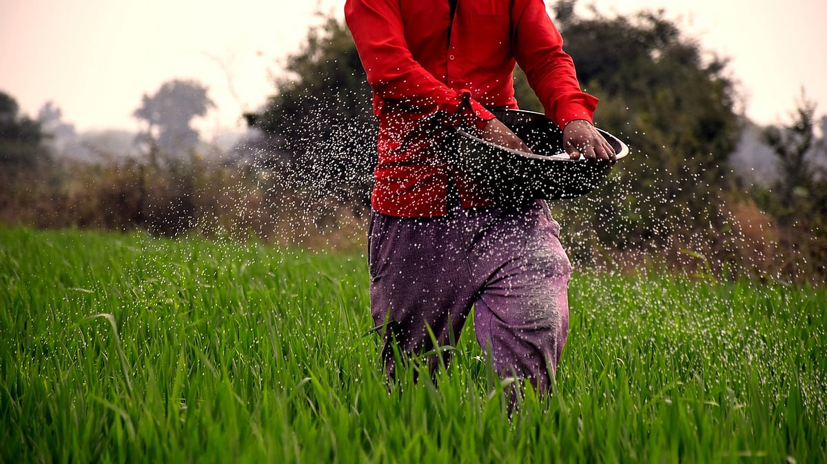 Centre assures adequate fertiliser supply for Kharif season, stocks at comfortable levels