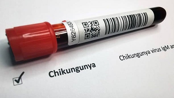 Kerala's Ernakulam Reports Chikungunya Cases, Health Surveillance Ramped Up