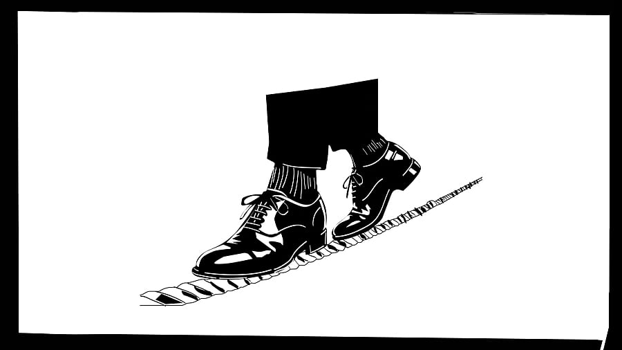 DH ILLUSTRATION