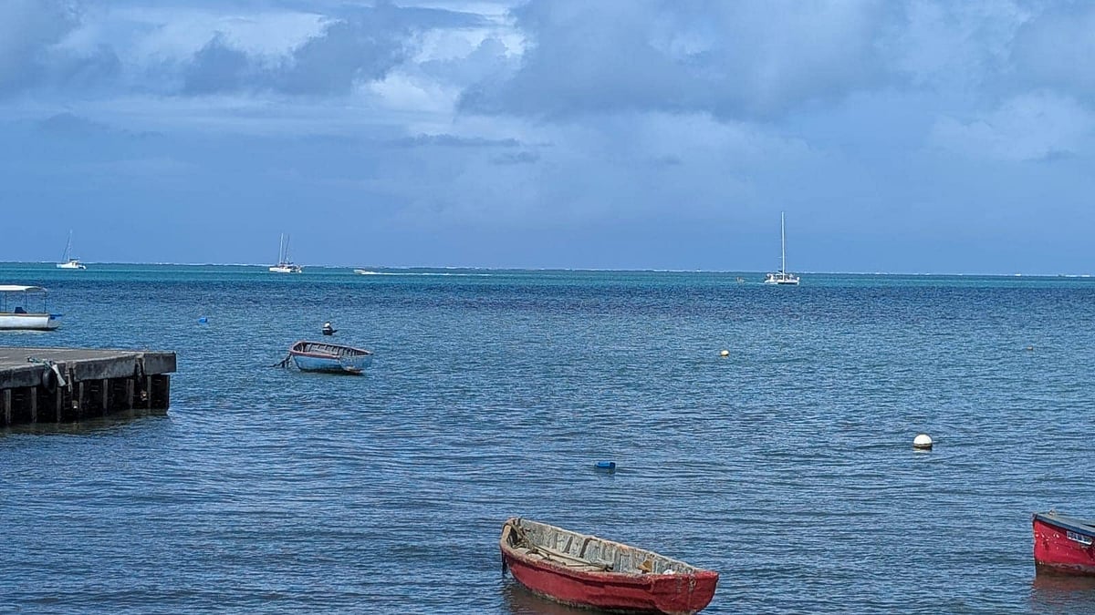 Port Louis Central Market: A Bustling Ocean's Whisper for Travel Enthusiasts