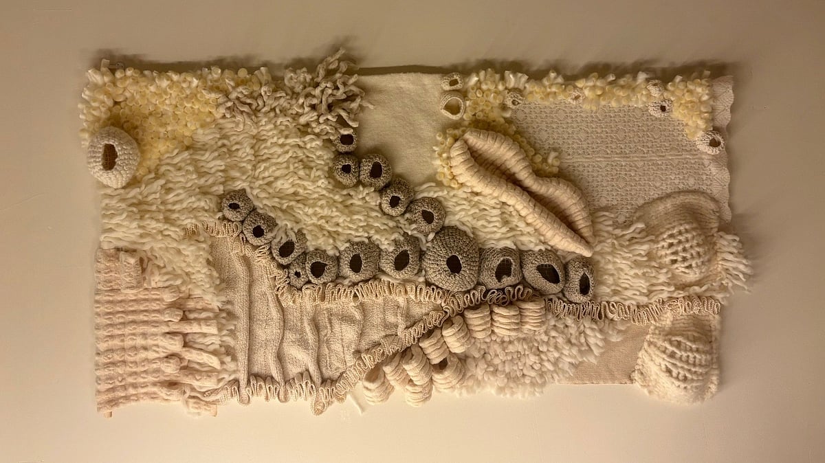 Bengaluru Artist Crafts Mesmerizing Underwater Worlds Using Textile Art